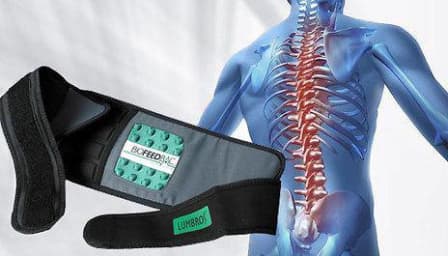 Back Support Belt - ONE SIZE FITS ALL / Black
