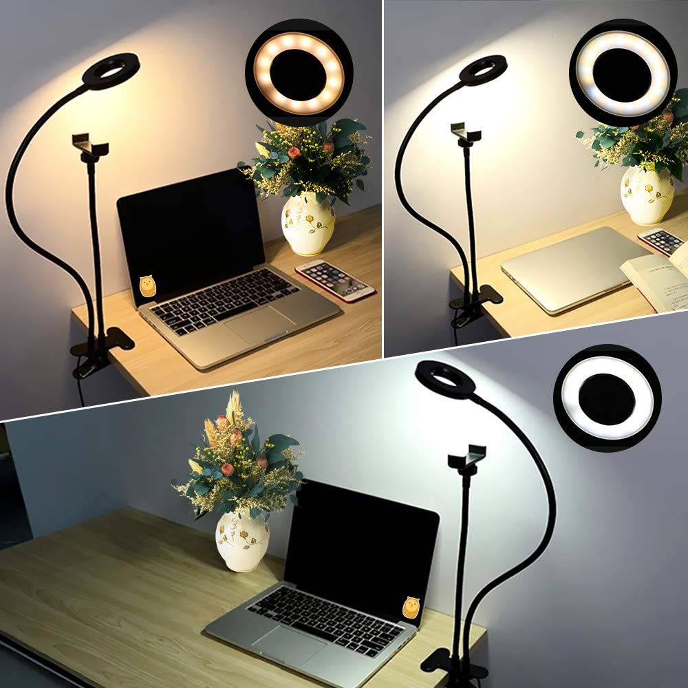 Professional Live Stream Selfie Ring Light and Cellphone stand