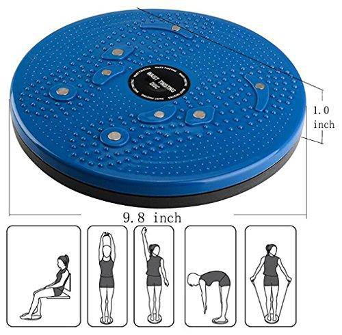Waist Twisting Disc