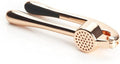 Stainless Steel Exquisite Garlic Presser