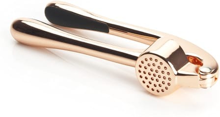 Stainless Steel Exquisite Garlic Presser