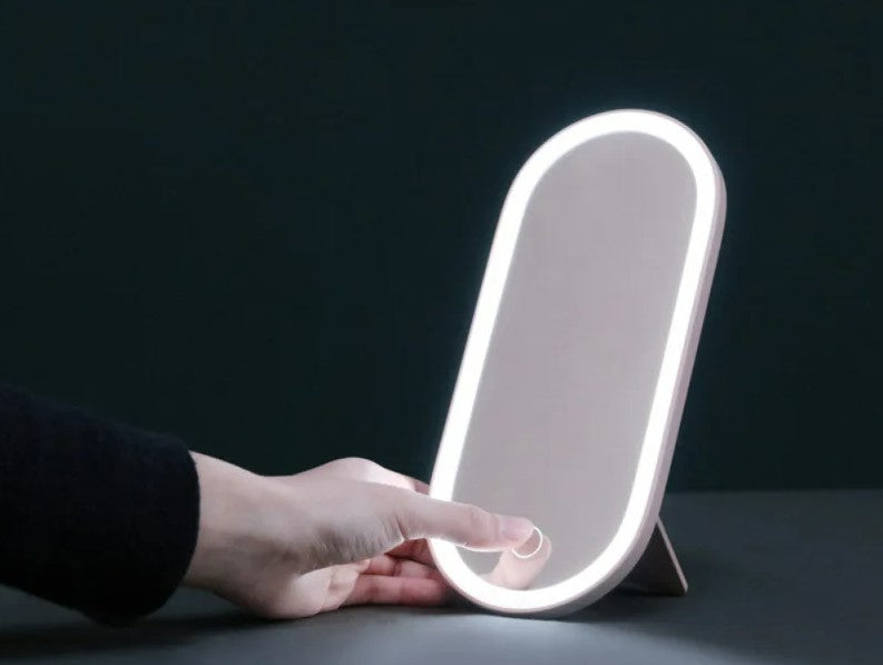 Portable Makeup Case Makeup Mirror With Led Light 2 In 1 Cosmetic Storage Box - Pink